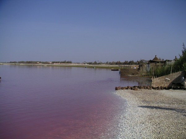 lac_rose_in_senegal
