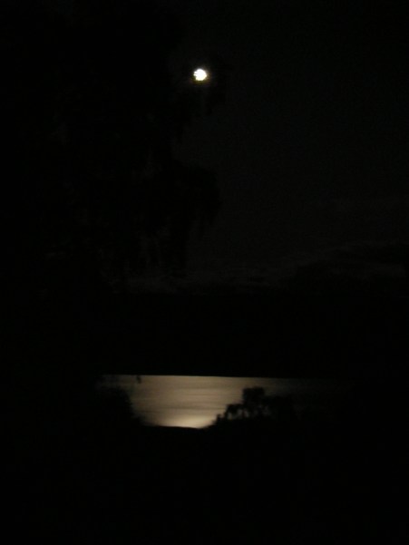 SAMSUNG DIGITAL CAMERA