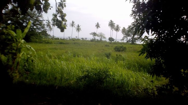 26027166_935671979919135_1945481074_o