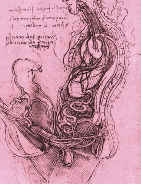 Coition_of_a_Hemisected_Man_and_Woman