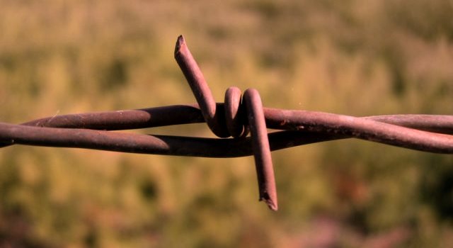 Barbed_Wire_Closeup