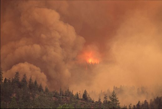 1024px-Wildfire_in_the_Pacific_Northwest_(8776185274)