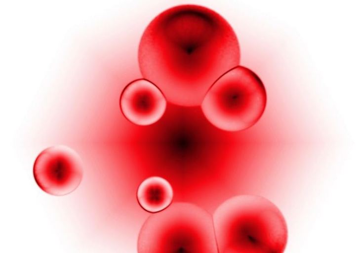 800px-Blood_cells.jpg