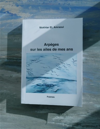 Couverture d'Arpèges (1)