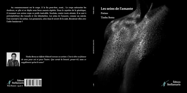 Couverture Les seins de l'amante.jpg