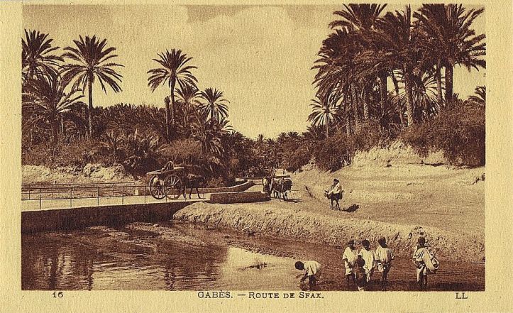 Gabes_route_de_Sfax.JPG