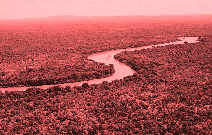 River_gambia_Niokolokoba_National_Park.gif