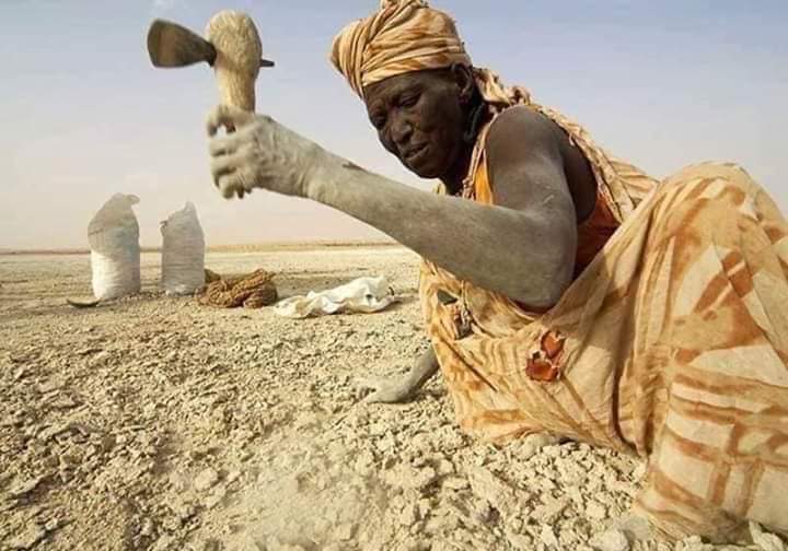 FB_IMG_1584013311961